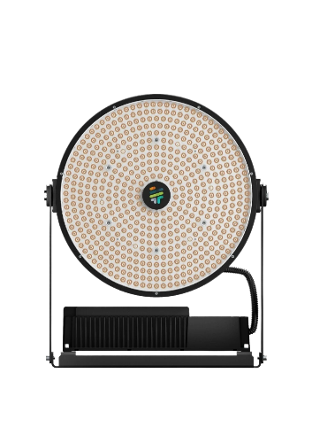 Спортивные объекты